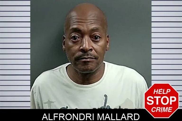 Alfrondri Mallard