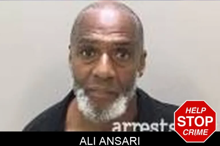 Ali Ansari