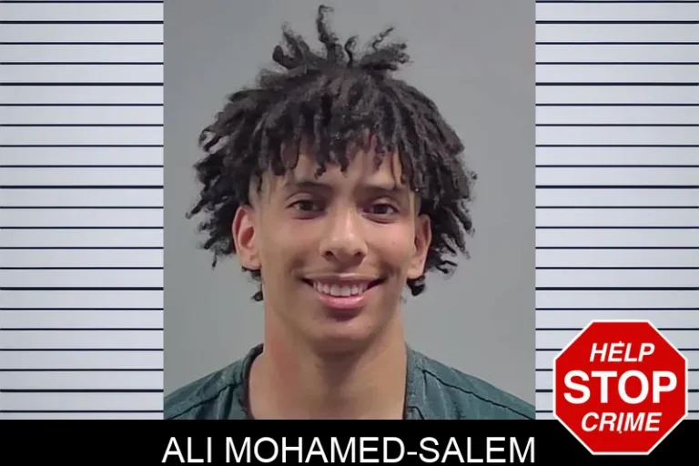 Ali Mohamed-Salem