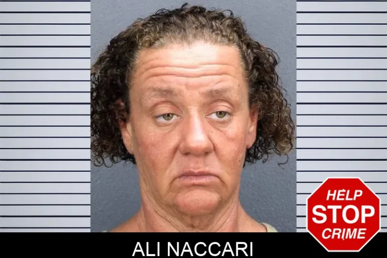 Ali Naccari