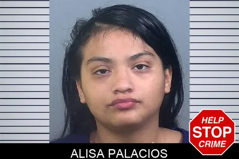 Alisa Palacios