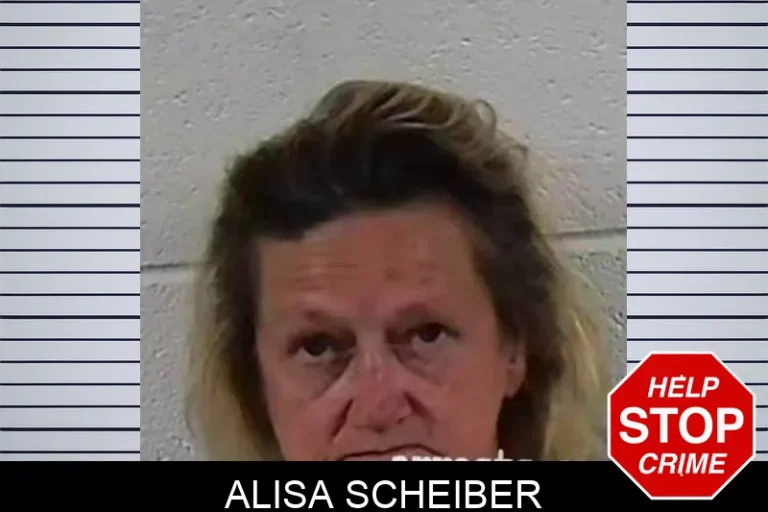 Alisa Scheiber
