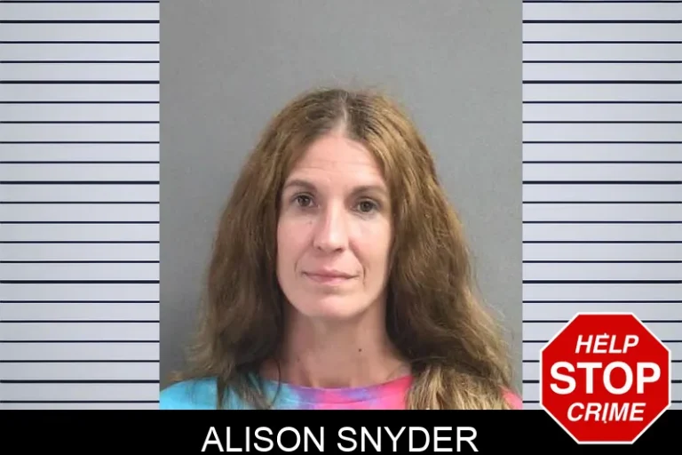Alison Snyder