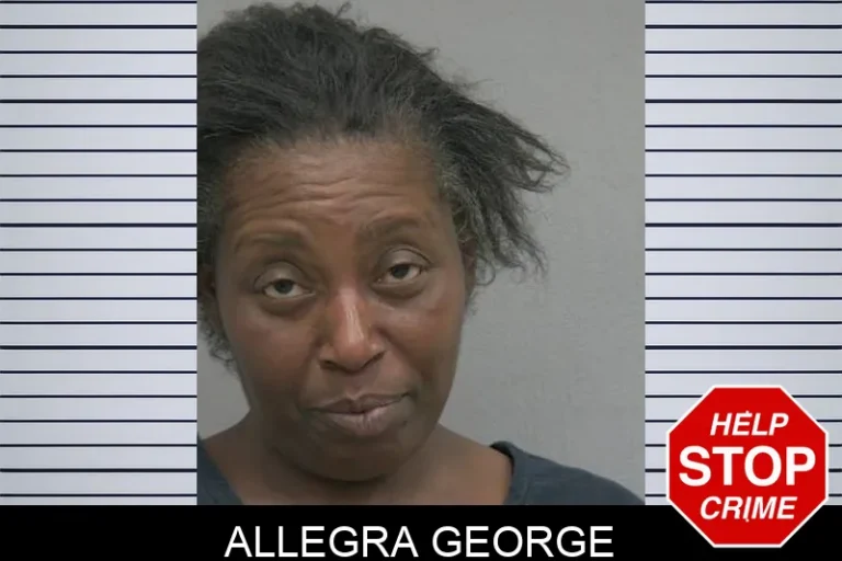 Allegra George
