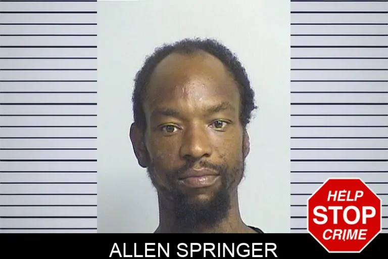Allen Springer