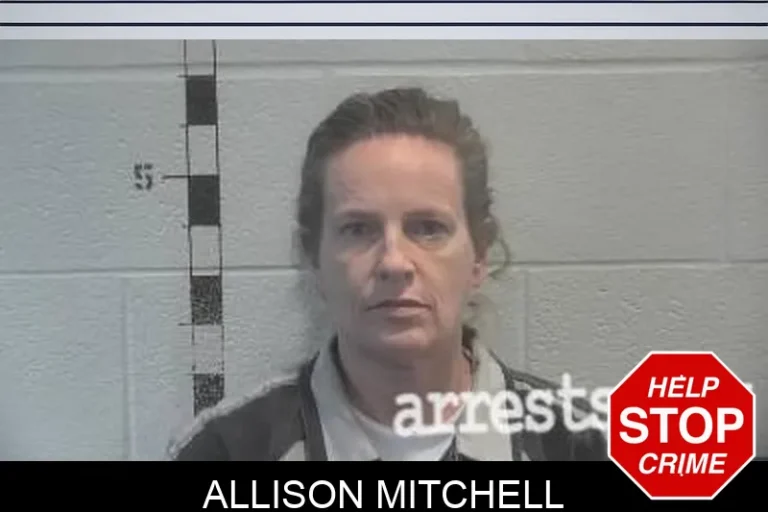 Allison Mitchell
