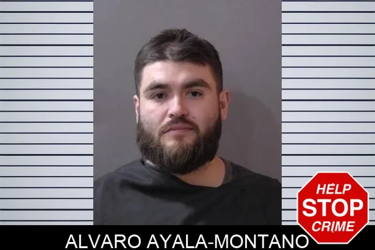 Alvaro Ayala-Montano