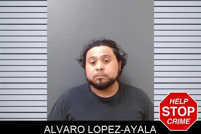 Alvaro Lopez-Ayala