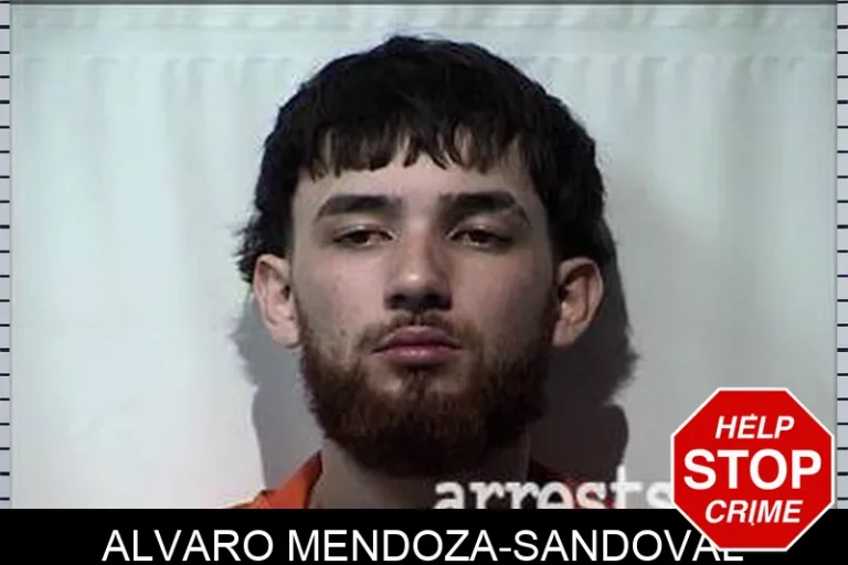 Alvaro Mendoza-Sandoval