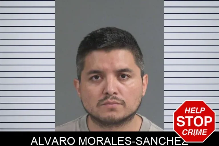 Alvaro Morales-Sanchez