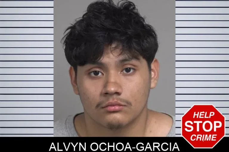 Alvyn Ochoa-Garcia
