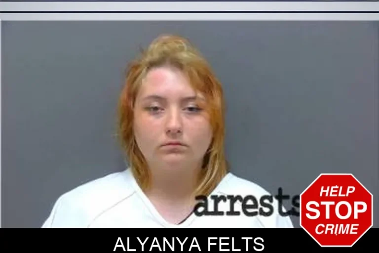 Alyanya Felts