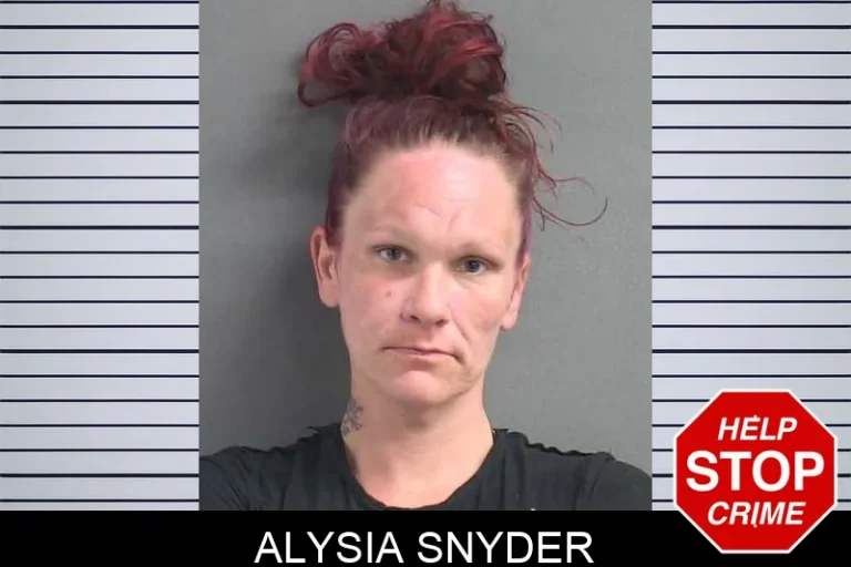 Alysia Snyder