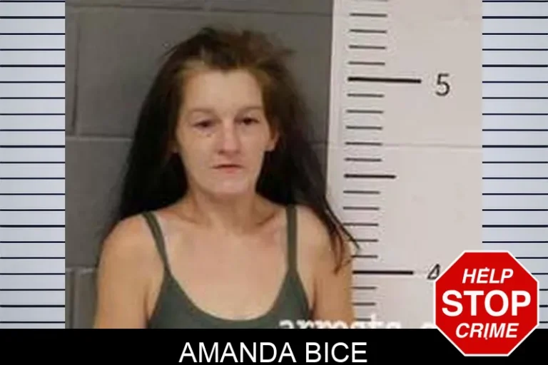 Amanda Bice