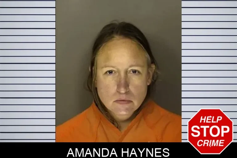 Amanda Haynes