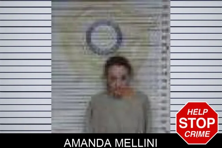Amanda Mellini