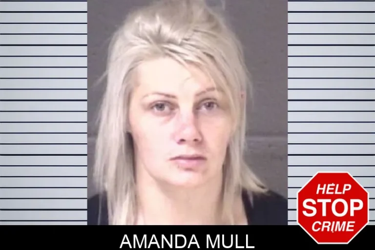 Amanda Mull