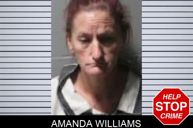 Amanda Williams