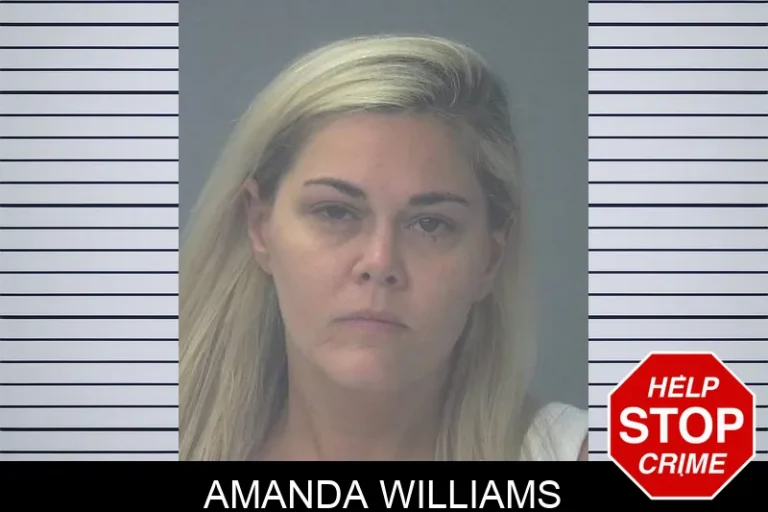 Amanda Williams