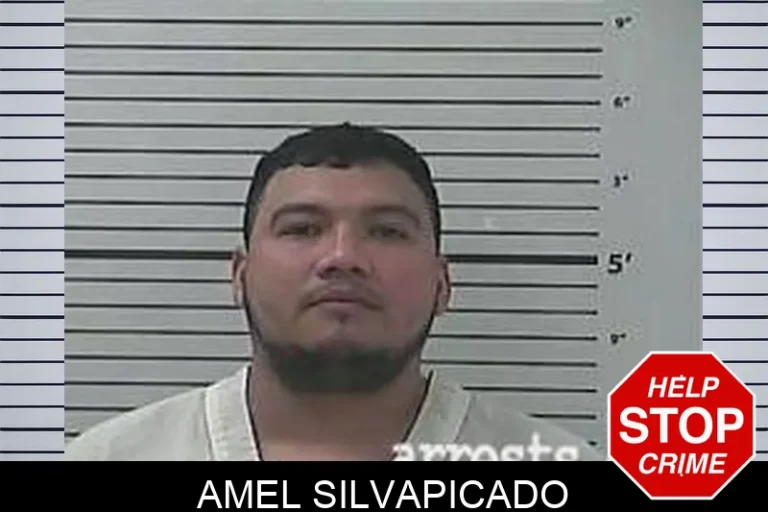 Amel SilvaPicado