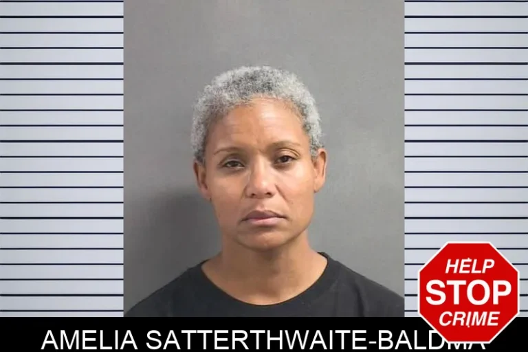 Amelia Satterthwaite-Baldma