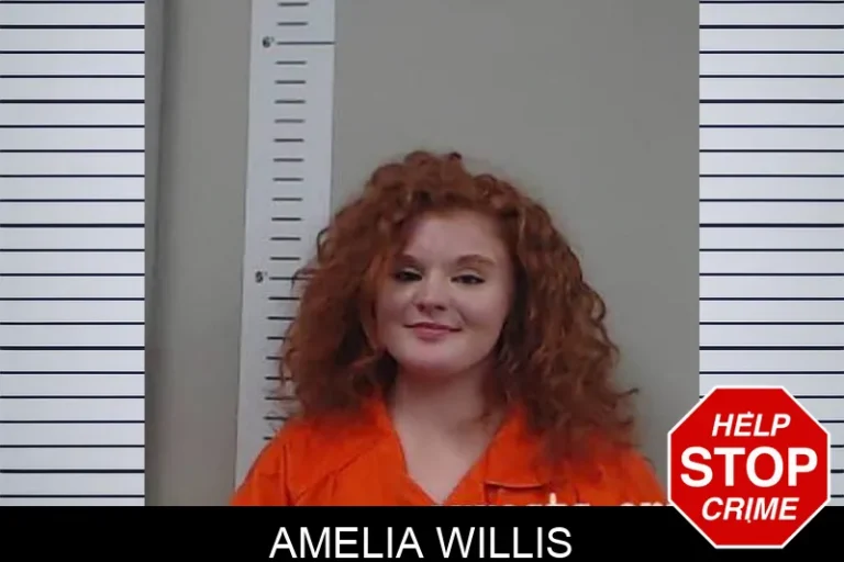 Amelia Willis