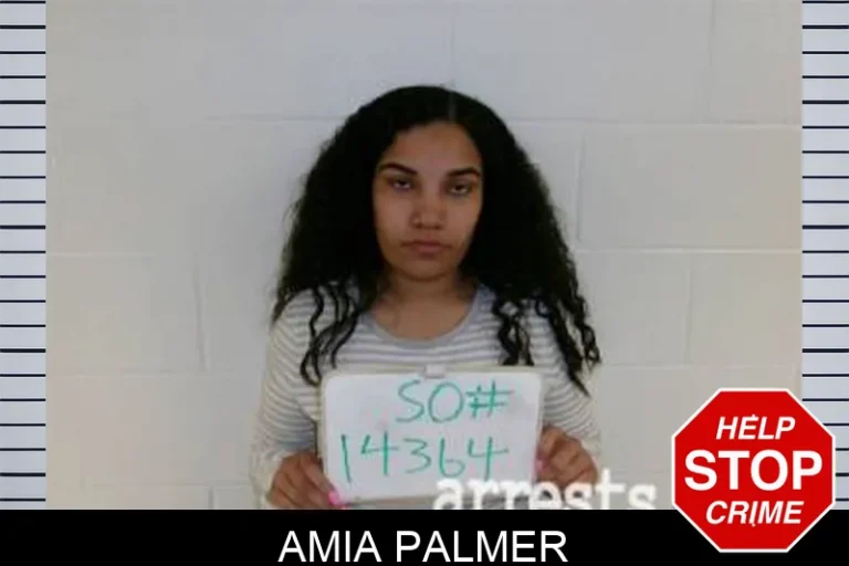 Amia Palmer