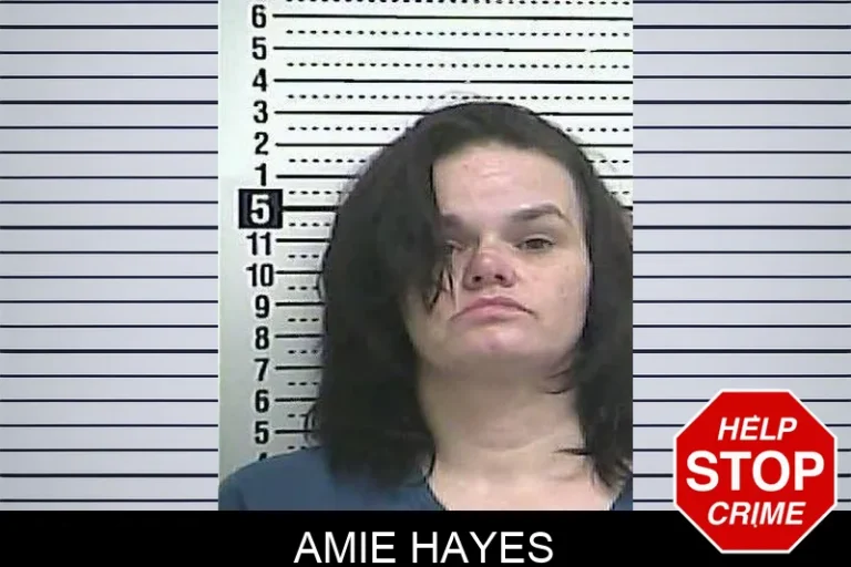 Amie Hayes
