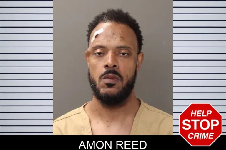 Amon Reed