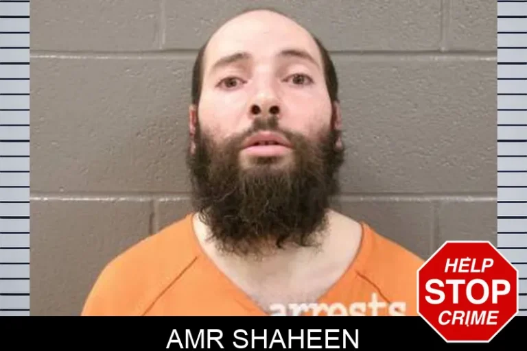 Amr Shaheen