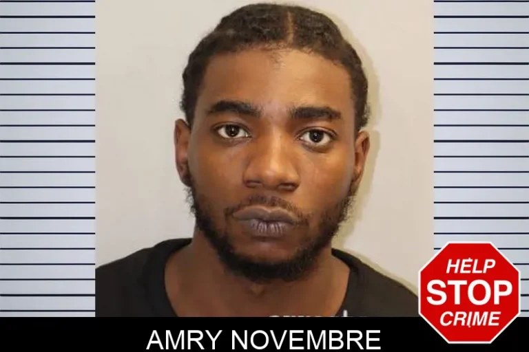 Amry Novembre