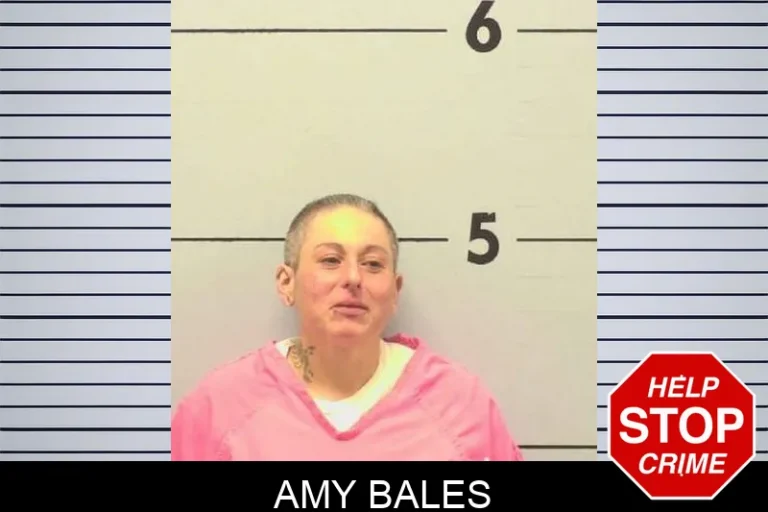 Amy Bales