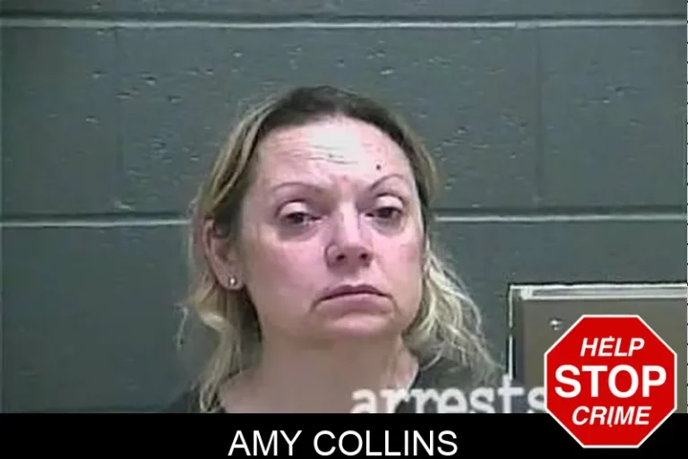 Amy Collins