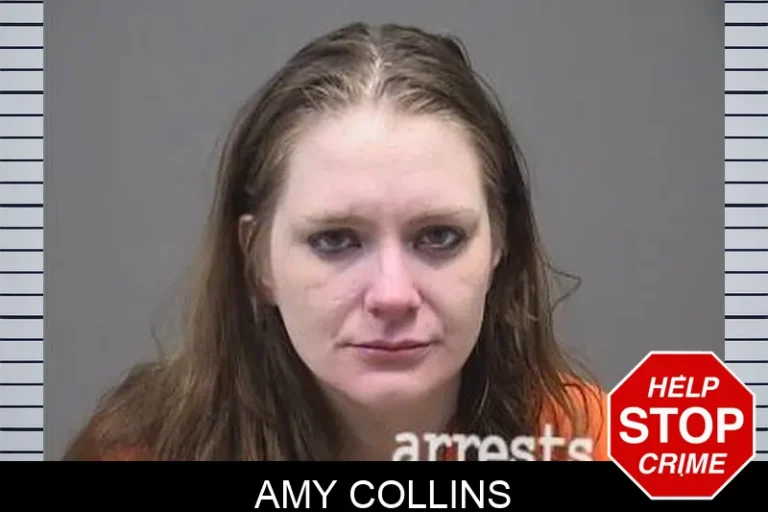 Amy Collins