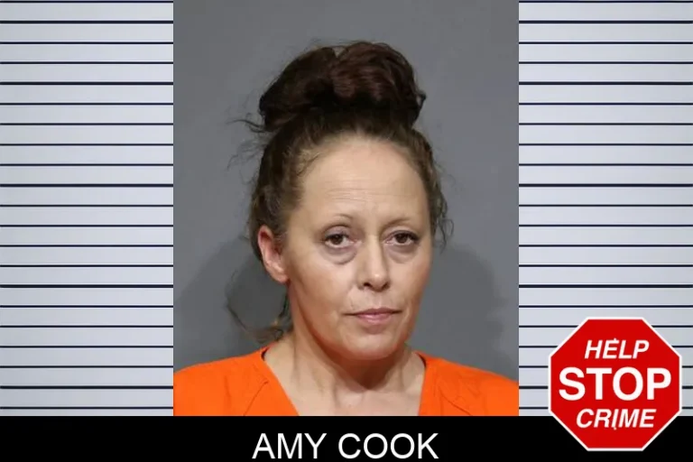 Amy Cook