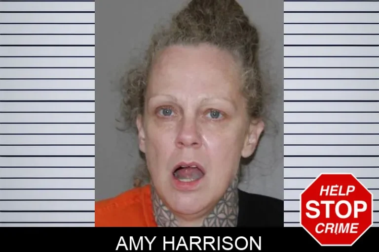 Amy Harrison
