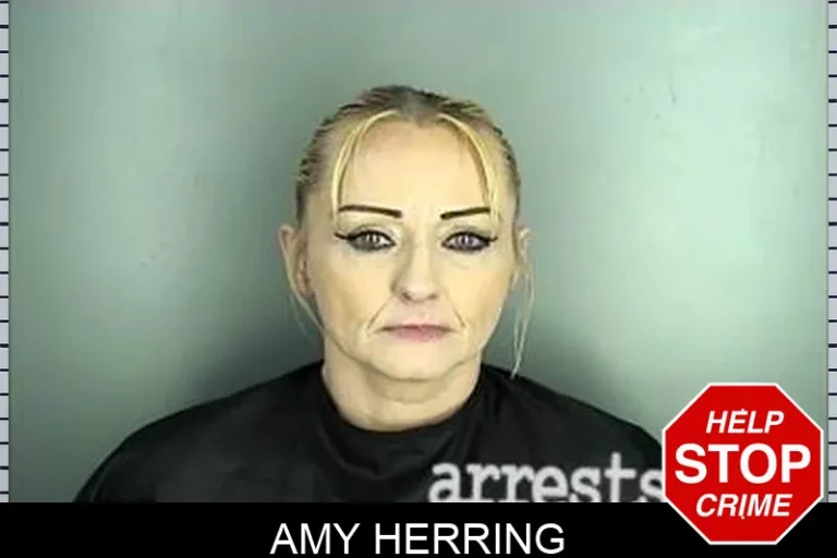 Amy Herring