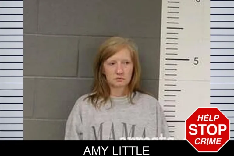 Amy Little