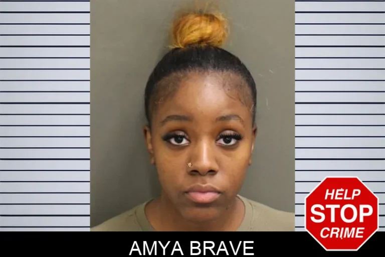 Amya Brave