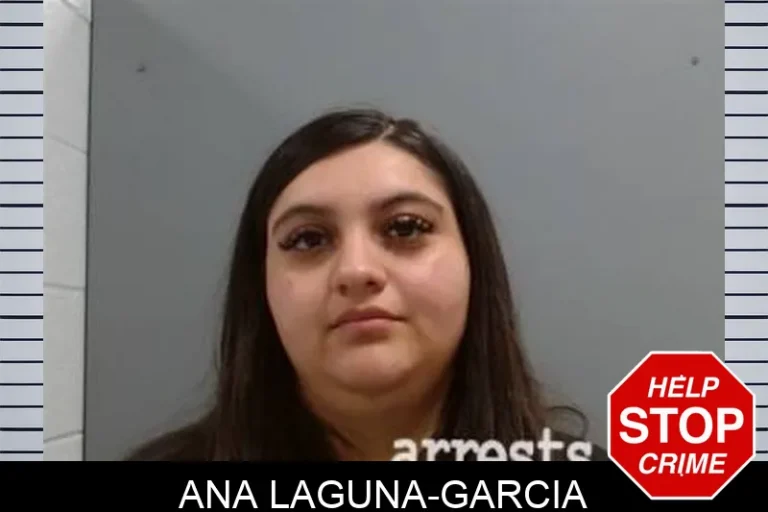 Ana Laguna-Garcia