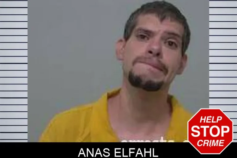 Anas Elfahl