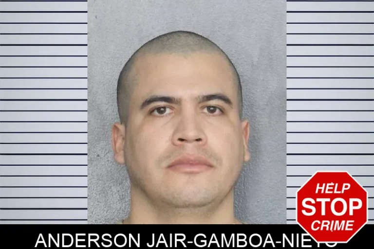 Anderson Jair-Gamboa-Nieto