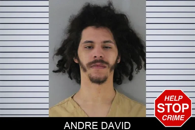 Andre David