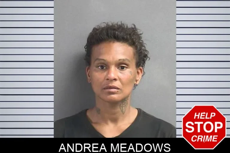 Andrea Meadows