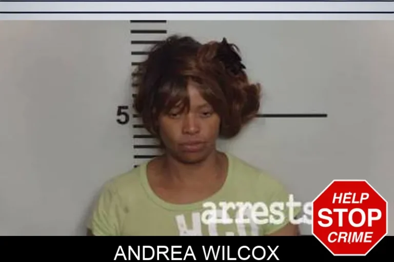Andrea Wilcox