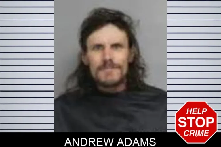 Andrew Adams