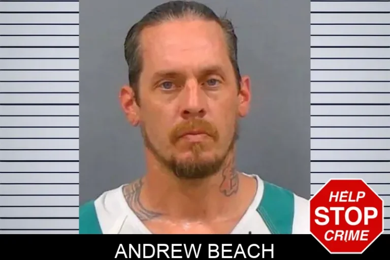 Andrew Beach