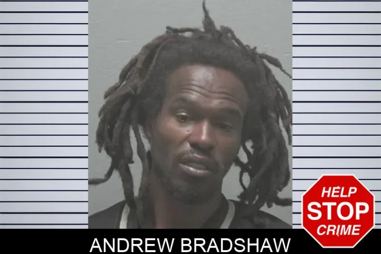 Andrew Bradshaw