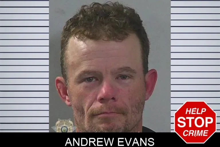 Andrew Evans