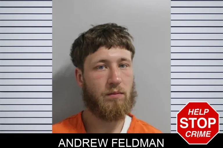 Andrew Feldman